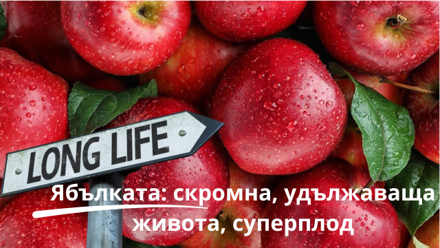 Ябълката: скромна, удължаваща живота, суперплод